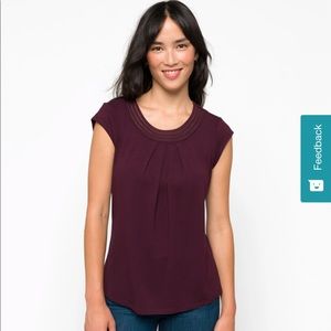 Daniel Rainn Brinn Scoop Neck Pleat Detail Knit Top